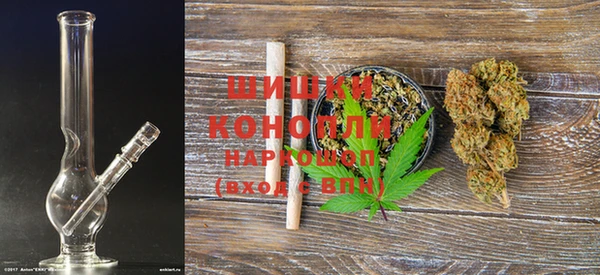 эйфоретик Вяземский