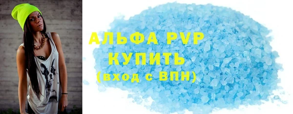 стафф Вязьма