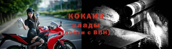 эйфоретик Вяземский