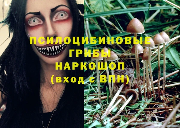 эйфоретик Вяземский