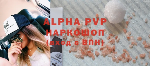 эйфоретик Вяземский