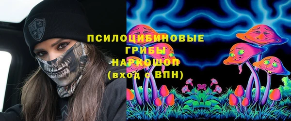 стафф Вязьма