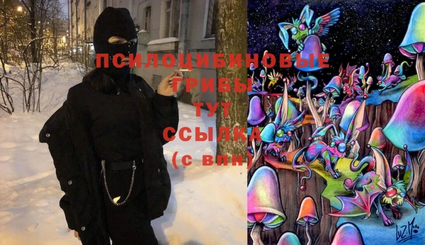 мдпв Вязники