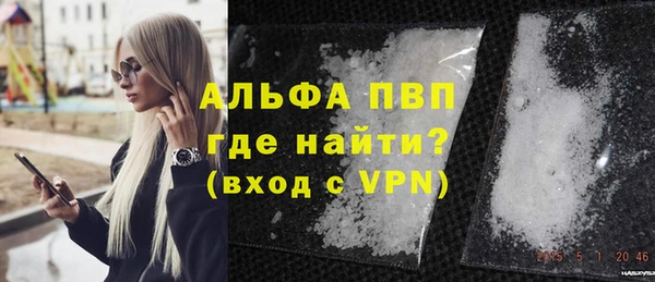 стафф Вязьма