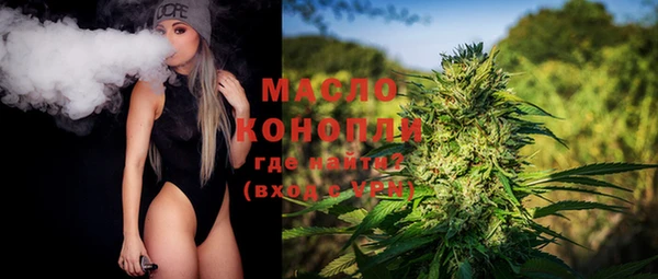 стафф Вязьма