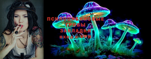 стафф Вязьма