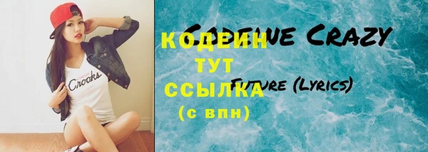 эйфоретик Вяземский