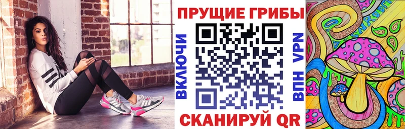 hydra зеркало Павловск Галлюциногенные грибы Psilocybe продажа наркотиков